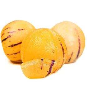 甜果源源 云南昆明人参果32个大果礼盒装(净重6.5斤左右）