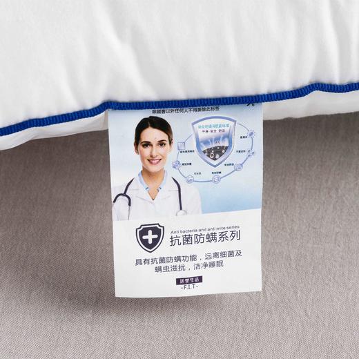 远梦抗菌防螨枕 商品图1