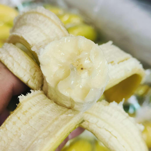 都乐超甜香蕉🍌
海拔750米种植，365天生长周期，比普通香蕉多生长90天，入口软糯丝滑，甜度能达到25高果糖，，吃起来紧实绵密，像糯米般有嚼劲😍香蕉味芳香扑鼻！约3斤/把 商品图0