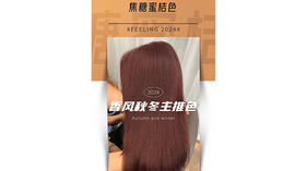 2024香风秋冬主推色 Part.1-焦糖蜜桔色 明亮光泽，层次感丰富