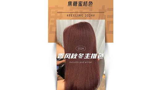 2024香风秋冬主推色 Part.1-焦糖蜜桔色 明亮光泽，层次感丰富 商品图0