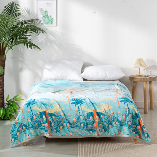 【远梦】芯柔四季毯 商品图4