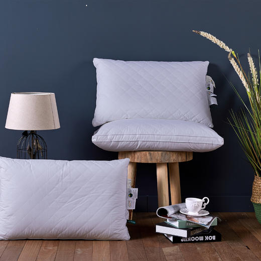 远梦生物绒立体枕 商品图0