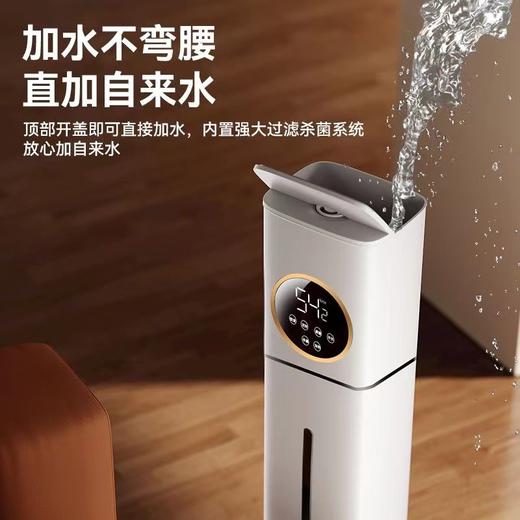 秋冬【空气加湿器】家用大雾量 空调房落地式静音杀菌 卧室净化大容量喷雾机 商品图3