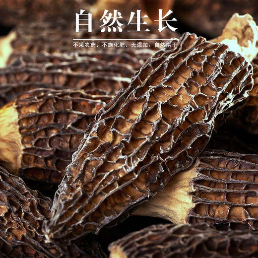 【企业】鄂西良田羊肚菌袋装30g/50g 商品图5