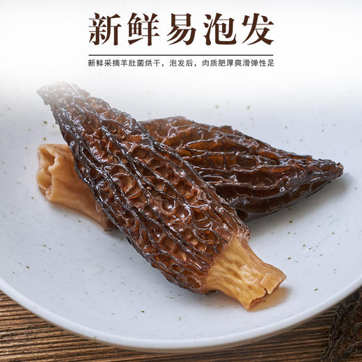 【企业】鄂西良田羊肚菌袋装30g/50g 商品图2