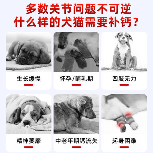 宝莱美露宠物羊乳高钙片200粒 易吸收 犬猫保健品 商品图2