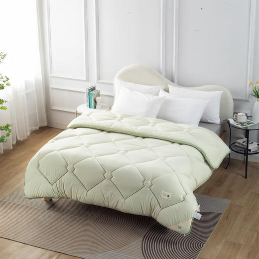 【远梦】锦鲤四季被/冬被（随机发花色） 商品图2