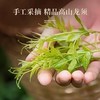 湖南湘西 永顺莓茶 龙须特级 野生特级 野生藤茶 送长辈 礼盒装 商品缩略图2