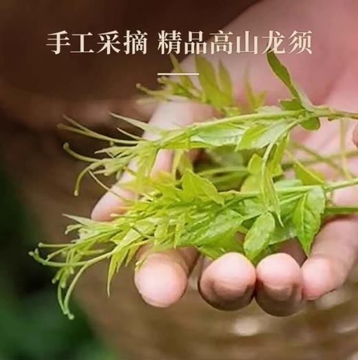 湖南湘西 永顺莓茶 龙须特级 野生特级 野生藤茶 送长辈 礼盒装 商品图2