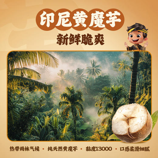 【王小卤新品】地道北京麻酱口味魔芋素毛肚多袋组合解馋无【腹】担 商品图3