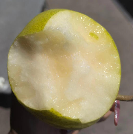 解渴清甜又多汁的陕西泉水酥梨
脆甜多汁，入口化渣，果肉细腻，一口下去满满的都是汁水 夏天吃太解渴了树上的矿泉水，非常好吃！5斤/袋 商品图0