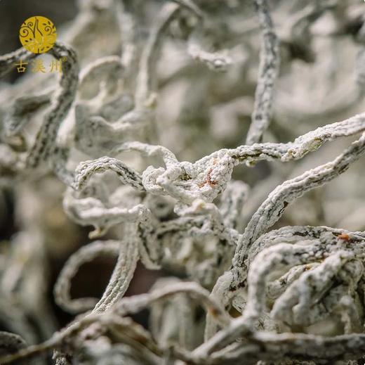 湖南湘西 永顺莓茶 龙须芽尖莓茶 50g 龙须藤茶 清甜回甘 商品图2