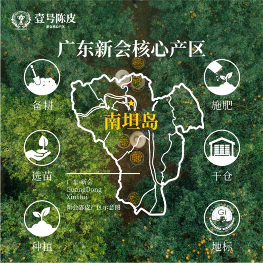 壹号陈皮-正宗新会干仓圈枝陈皮-12片五年圈枝【赠礼盒+礼品袋】 商品图6