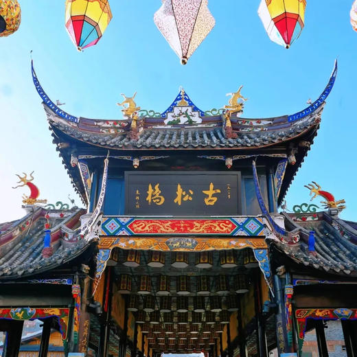 边玩边养老丨漫游九寨沟，一半雪融花开，一半纯净碧水，悠享自然之灵！ 商品图5