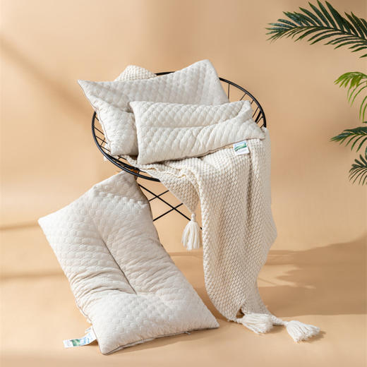 【远梦】黑苦荞香眠枕 商品图0