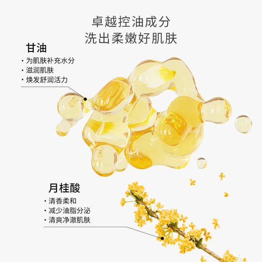 片仔癀牌清新控油洁面乳 商品图2