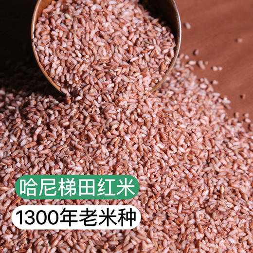 【1300年老米种】《买二包邮，买四免一》云南红河 哈尼梯田 老米种红米 新米糙米 4斤/份（1kg克*2袋） 商品图0
