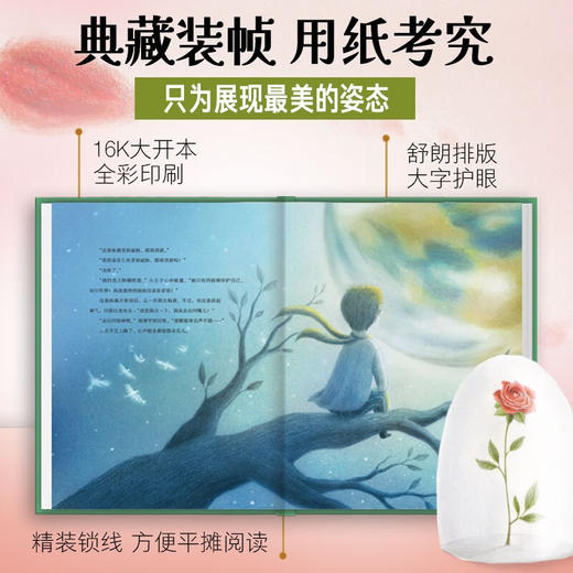 海豚百年经典文库：小王子（精）（8+岁） 商品图4