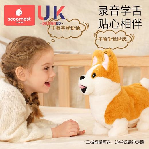 科巢儿童学说话玩具礼物毛绒电动狗安抚婴儿宝宝复读仿真宠物玩偶 商品图1