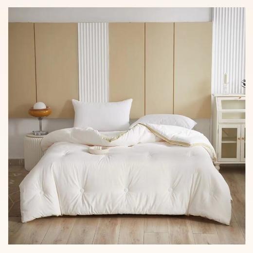 玖加壹3A抗菌春秋被200*230cm1150g 商品图0