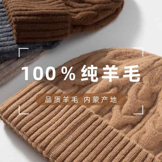 纯色100%纯羊毛毛线帽女生冬季针织帽百搭女高级感帽子男保暖简约新款爆款小红书同款 商品图0