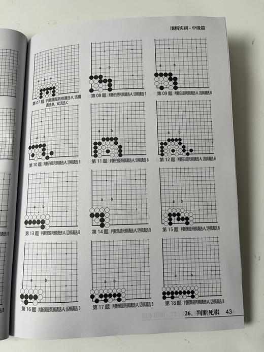 围棋实训中级篇 商品图10