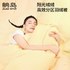 躺岛®️阳光绒绒高效分区复合羽绒被 商品缩略图1