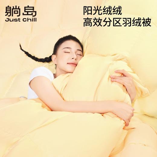 躺岛®️阳光绒绒高效分区复合羽绒被 商品图1