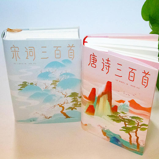 【马未都推荐版唐诗宋词品读套系】《唐诗三百首》+《宋词三百首》（套装2册） 商品图2