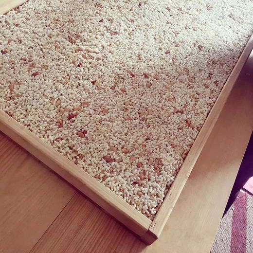 芦浦炒米一箱3斤 商品图12