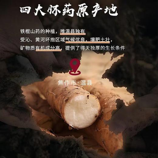 【甄选】山药村长2025新挖温县垆土铁棍山药粉糯可口肉白细腻5斤家庭装 商品图0