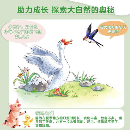 爱德少儿 自然科学启蒙绘本  12册全套3-6岁儿童趣味教育百科全书幼儿园绘本阅读 商品图3