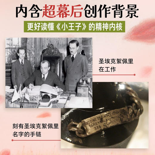 海豚百年经典文库：小王子（精）（8+岁） 商品图3