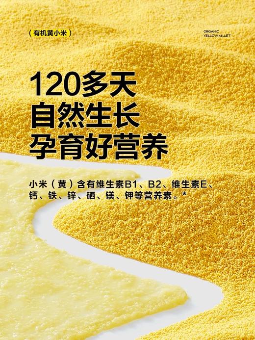 窝小芽有机黄小米500g 商品图3