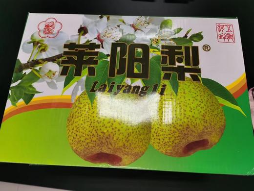 莱阳梨 贡梨正宗莱阳梨脆甜多汁新鲜发货 商品图3