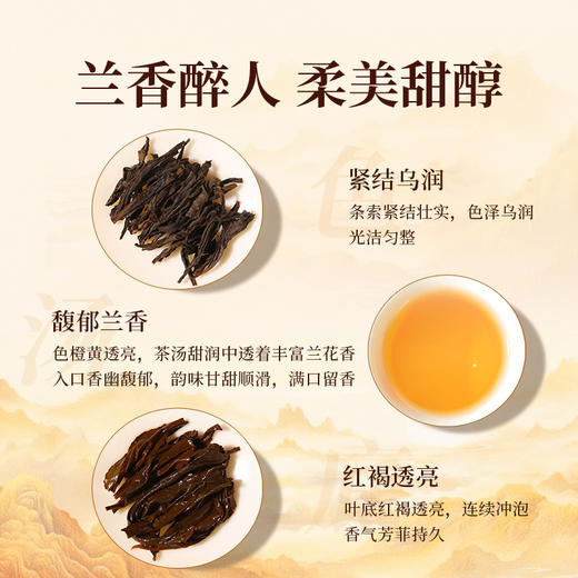 元正 茶票花中君 特级武夷红茶茶叶兰花香罐装50g/150g/300g 商品图5