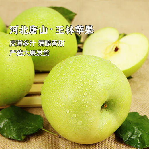 产地直发 | 【枝悦】正宗河北王林富士苹果 青苹果 好吃的苹果整箱 新鲜水果  商品图0