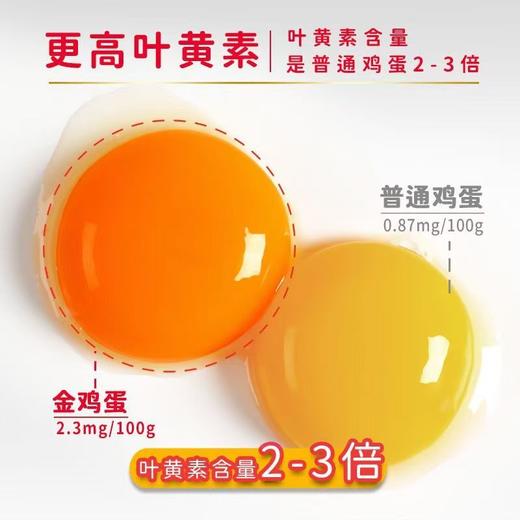 咯咯哒金鸡蛋40枚礼盒2.2kg 商品图3