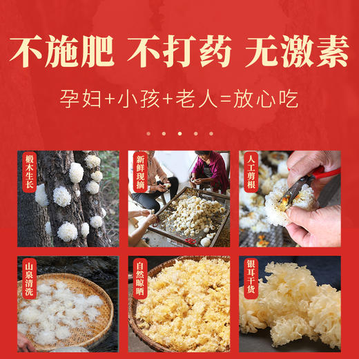【企业】万圣 椴木银耳 商品图3