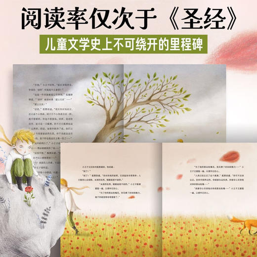 海豚百年经典文库：小王子（精）（8+岁） 商品图1