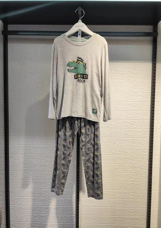 【恐龙印花莫代尔】（清仓款，不退换）SCHIESSER德国舒雅男童莫代尔印花长袖长裤套装3B/19548H 商品图0