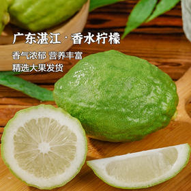 鲜悦水果 无籽香水柠檬 新鲜采摘不打蜡 香气怡人 72小时发货（果蔬生鲜签收24小时内保留完整包装面单可售后，超时不予理赔，拍下默认接受）