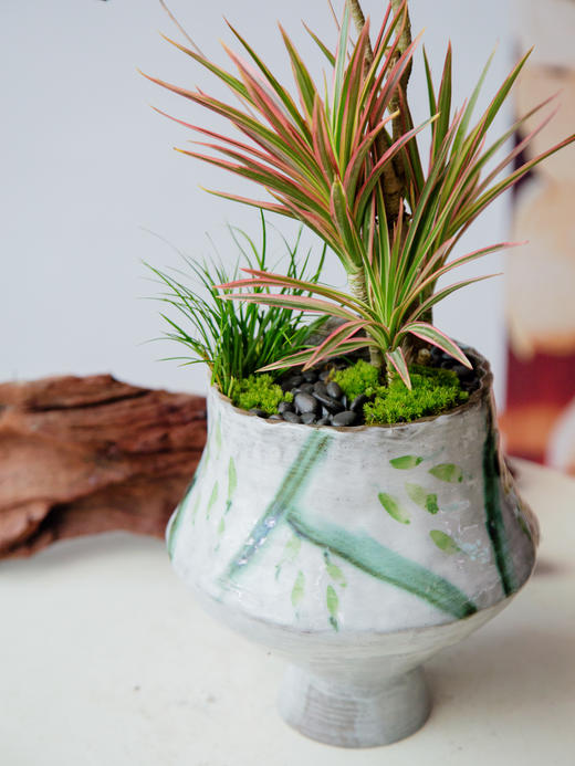 千年木 商品图1