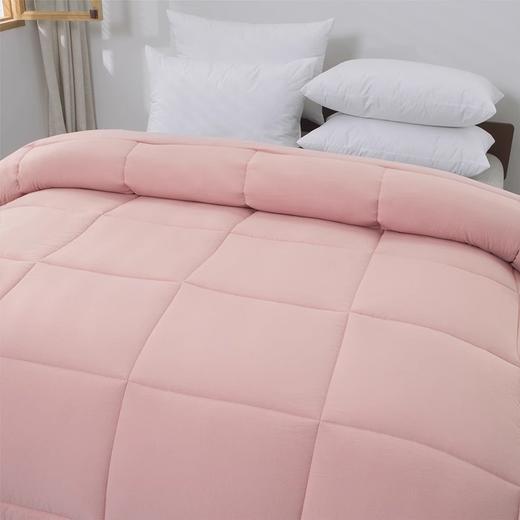 百富帝澳毛抗菌羽丝绒被加厚冬被保暖舒适被芯原价399，秒杀价299 商品图2