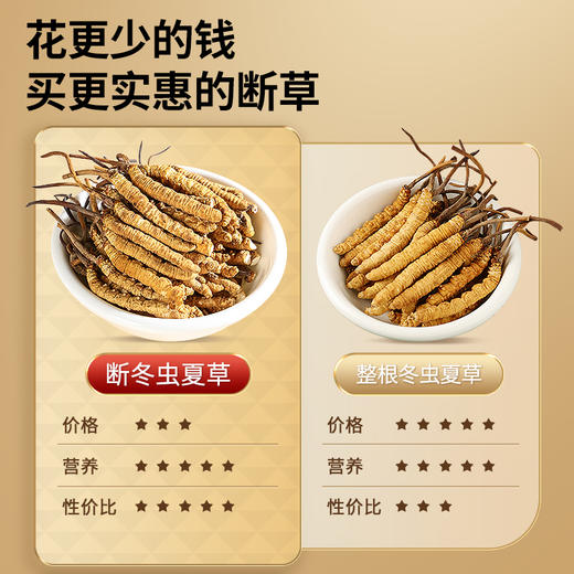 【正宗同仁堂品牌】北京同仁堂 青源堂-冬虫夏草0#-50/20克(DC) SY 商品图4
