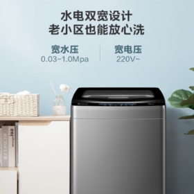 小天鹅(LittleSwan)（252166）TB100Q280E 波轮洗衣机 10公斤大容量 全新免清洗 水电双宽 波轮全自动