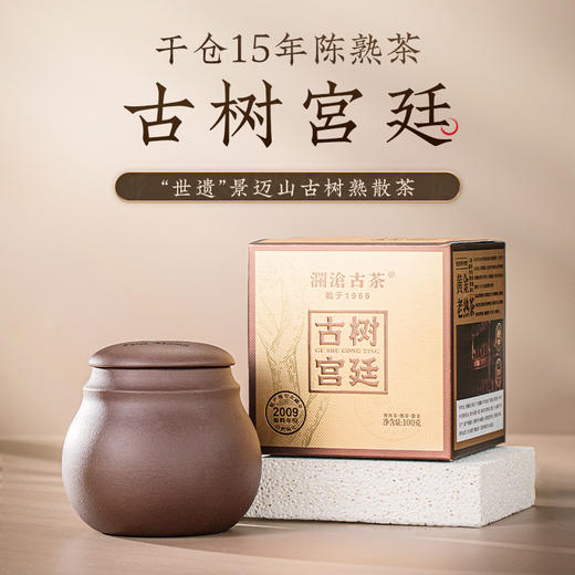 澜沧古茶2009年古树宫廷15年陈熟茶散茶100g 商品图0