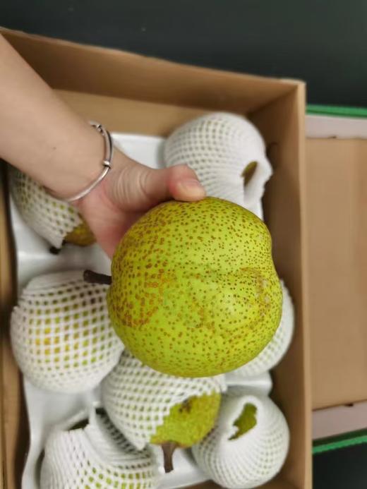 莱阳梨 贡梨正宗莱阳梨脆甜多汁新鲜发货 商品图2