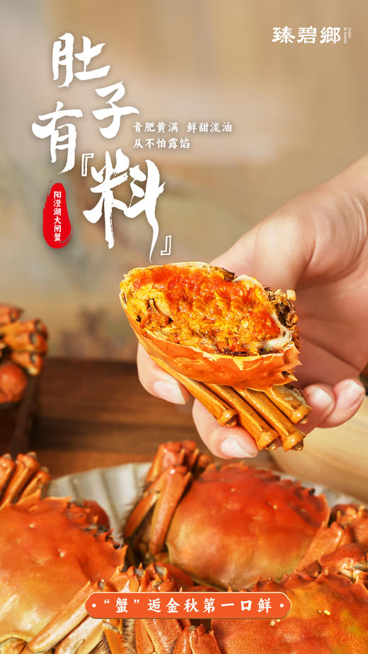 阳澄湖大闸蟹(蟹卡) | 生态养殖 | 膏满肉鲜*Yangcheng Lake hairy crab 商品图11